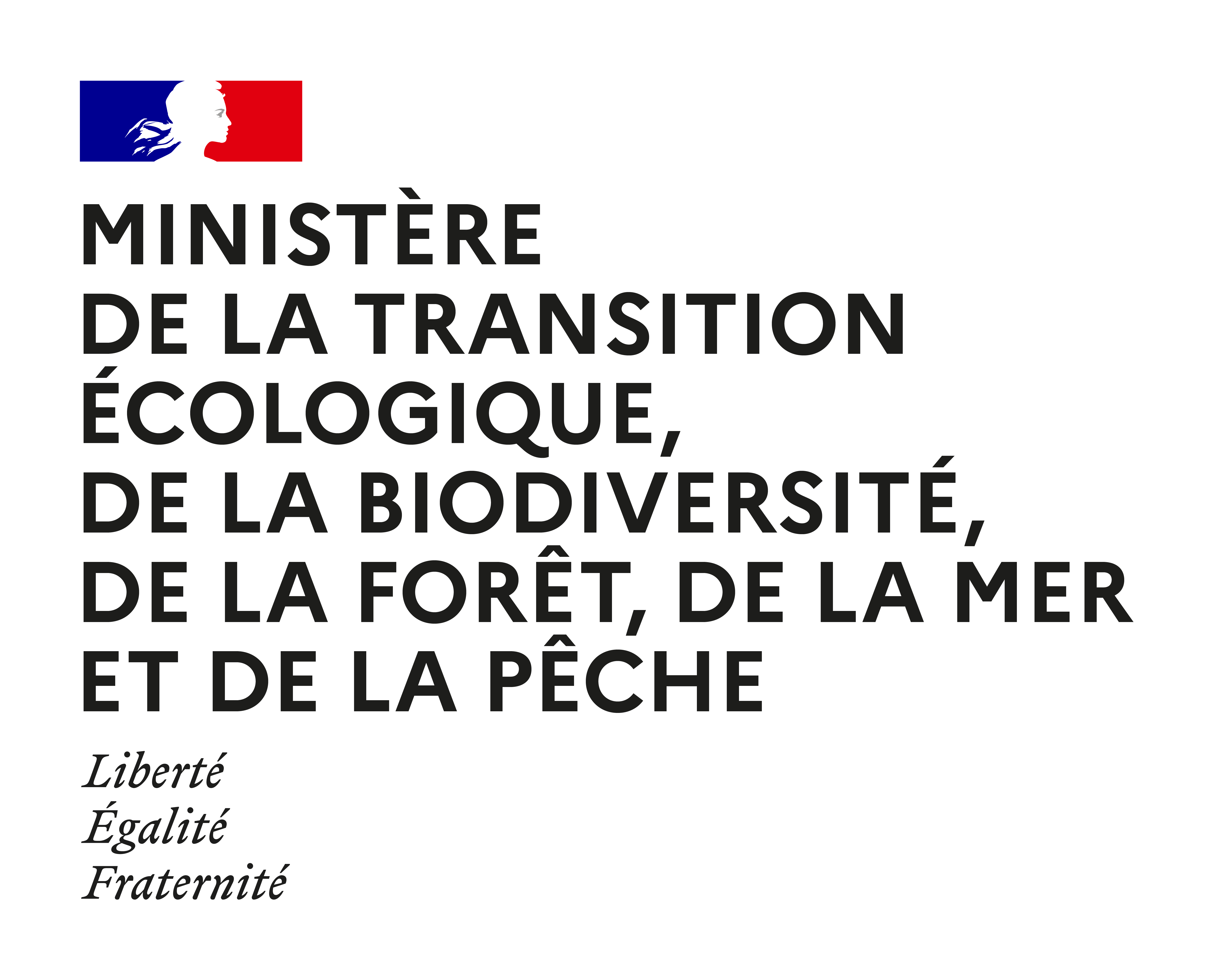 Logo ministère