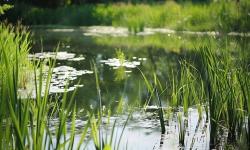 Hydrobiologie